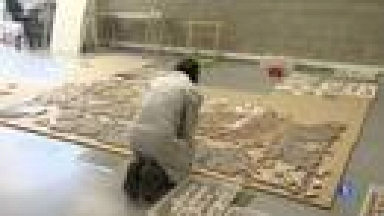 Entrem al magatzem arqueològic del Museu d'Història de la Ciutat de Barcelona