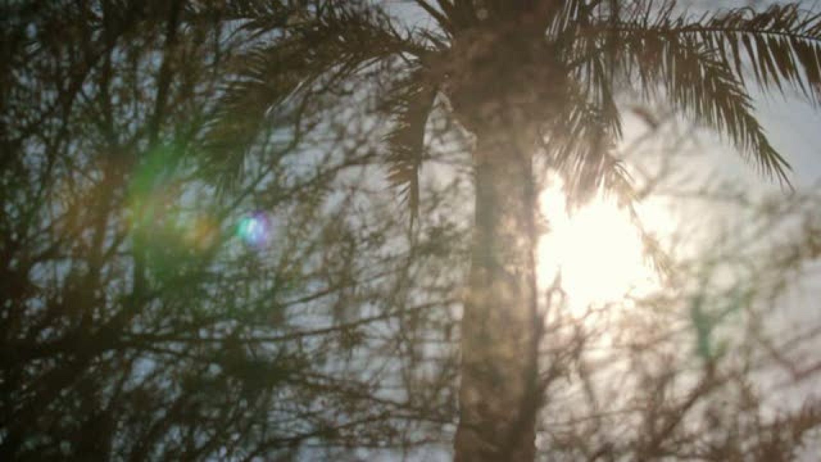 TVE, pasión por leer. Enrique Vila-Matas | Ver