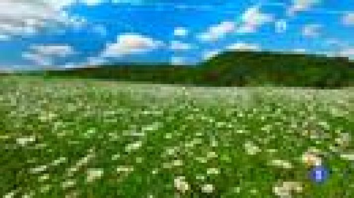 TeleCantabria - El tiempo en Cantabria - 22/04/14