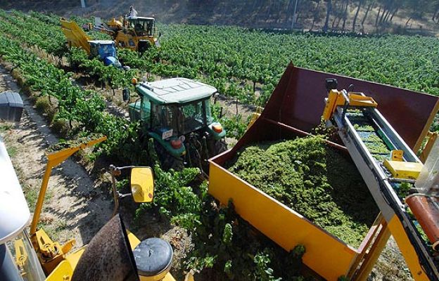  - La vendimia más 'techno'