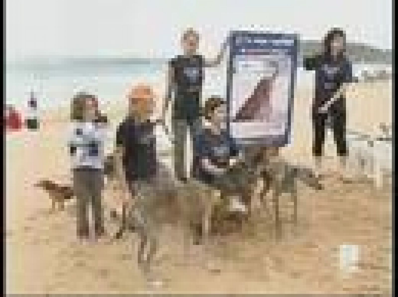 Sin programa: Zonas para perros en playas | RTVE Play