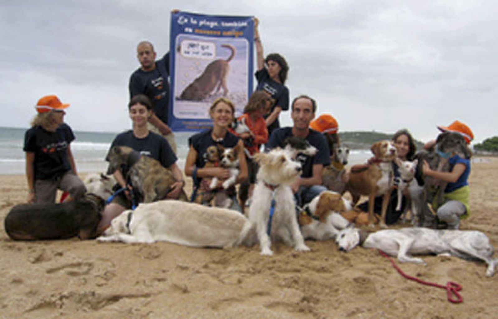  Desde el norte, desde Santander hasta Cádiz, la asociación protectora de animales "El Refugio" ha comenzado una gira para pedir zonas acotadas para los perros en las playas. Las ordenanzas municipales no permiten llevarlos a la playa.
