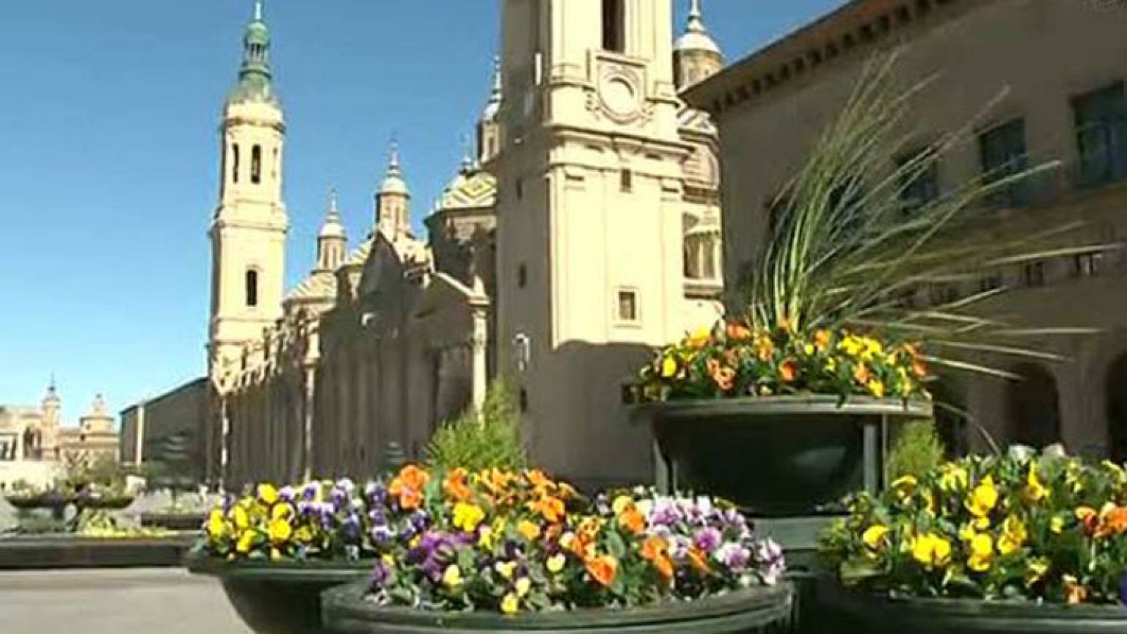 Comando actualidad - De pura cepa - Tópicos aragoneses
