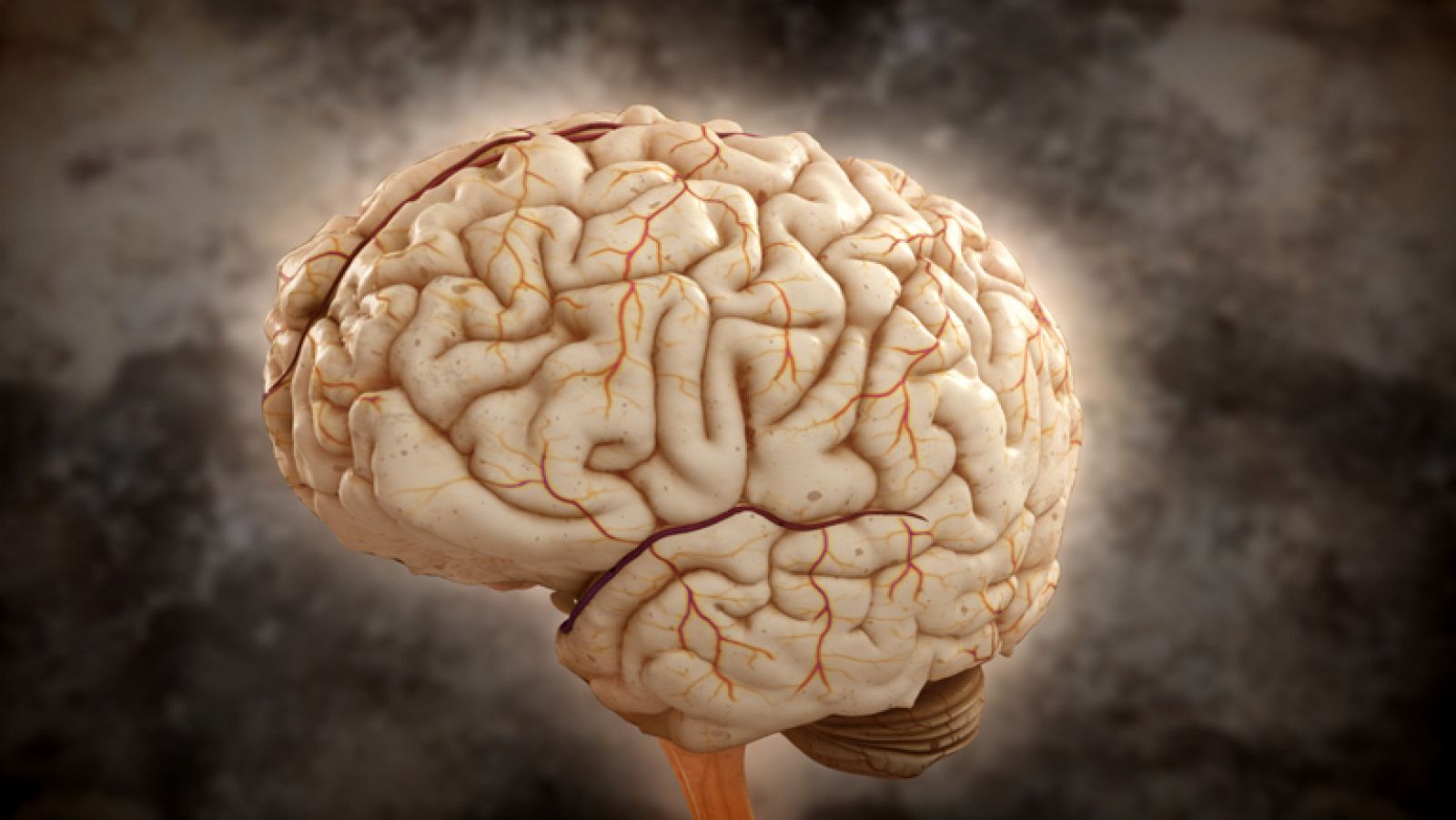 Llega a La 2 "Brain Games", la serie de National Geographic que pone a prueba tu cerebro