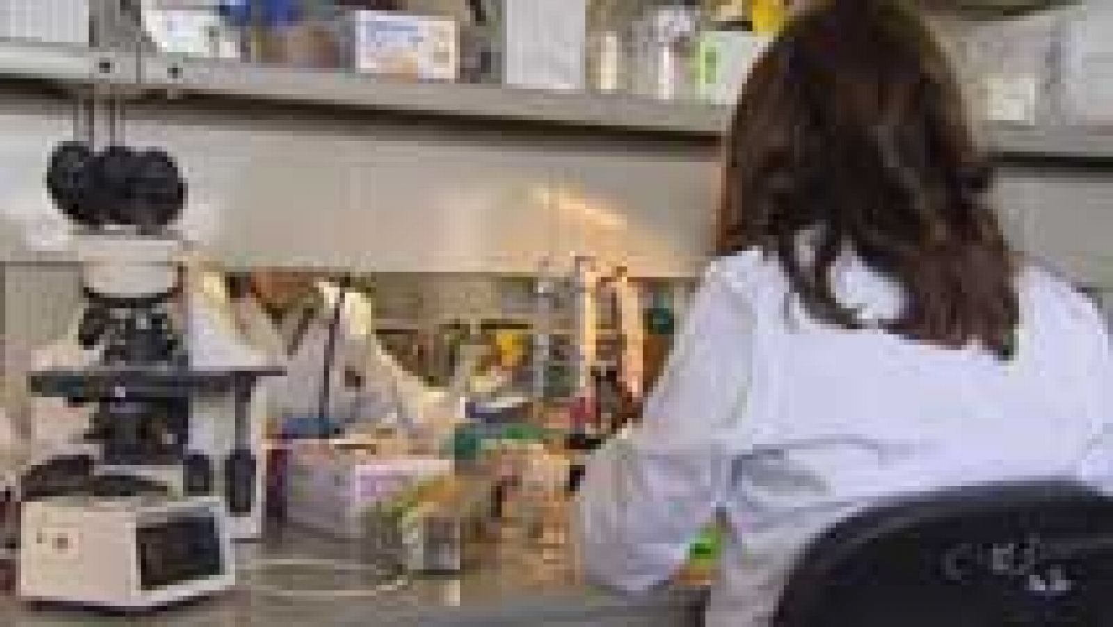 Telediario 1 d a internacional de la meningitis rtve play