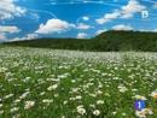 Informativo Telerioja - El tiempo en La Rioja - 24/04/14