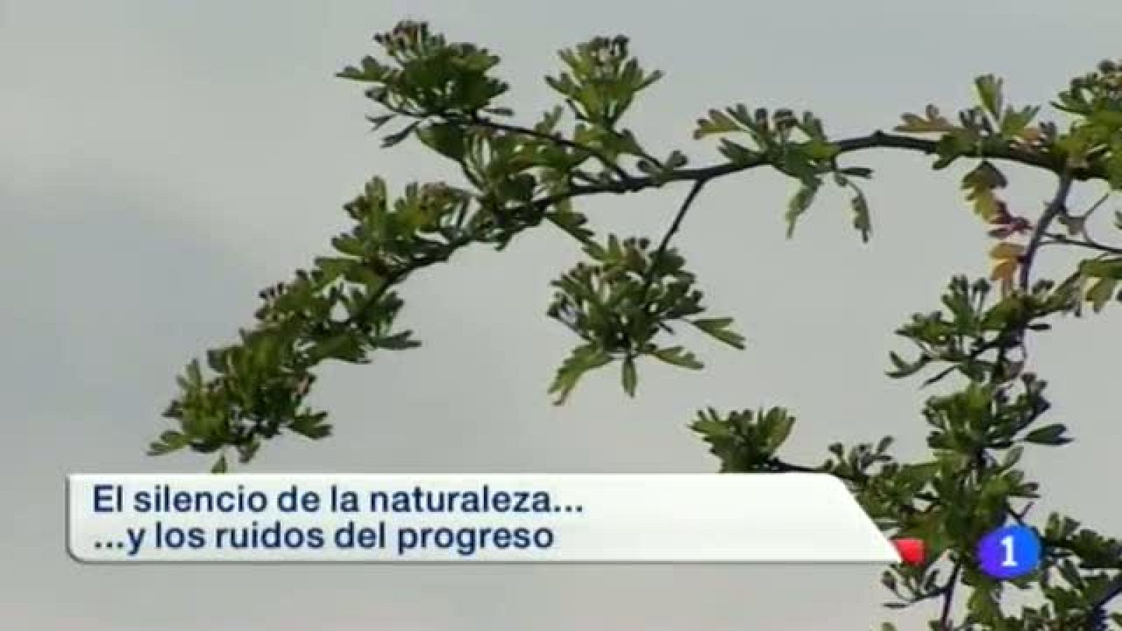 Telenavarra 2 - 24/04/2014 | Ver