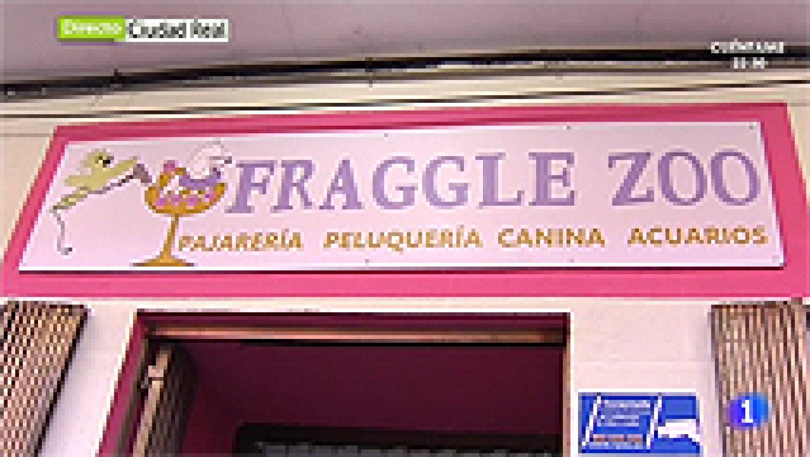 Entre todos: Manoli abre una peluquería canina en Ciudad Real | RTVE Play