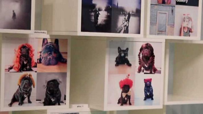 Cámara abierta - Instagramers Gallery, Dani Rovira¿