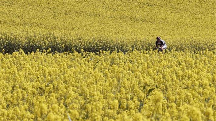 El tiempo - Lluvias en Pirineos y Cataluña y poco nuboso en e resto