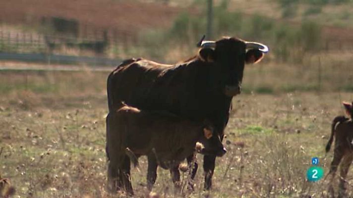 Tendido cero - Tendido Cero - 26/04/14