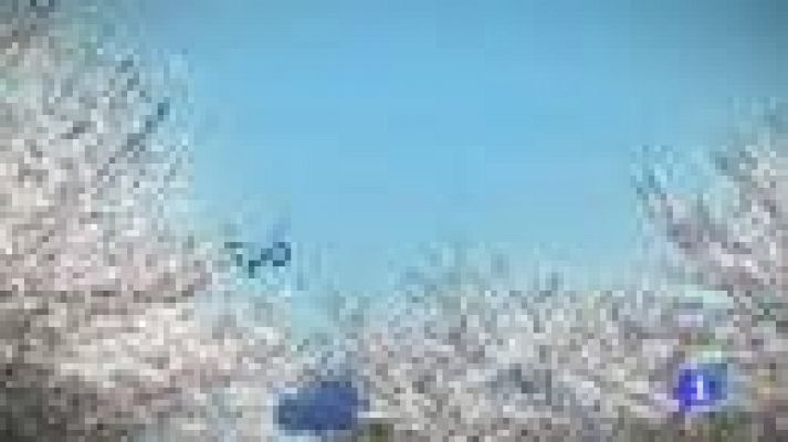 Noticias Murcia - El tiempo en la Región de Murcia - 28/04/2014