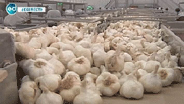 España Directo - Las Pedroñeras defiende su ajo frente al chino