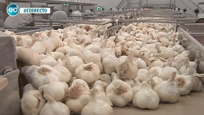 España Directo - Las Pedroñeras defiende su ajo frente al chino