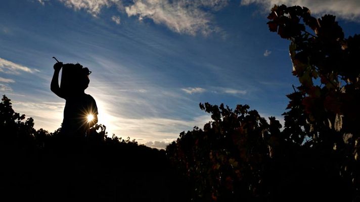 Informativo 24h - El número de parados bajó en el primer trimestre en 2.300