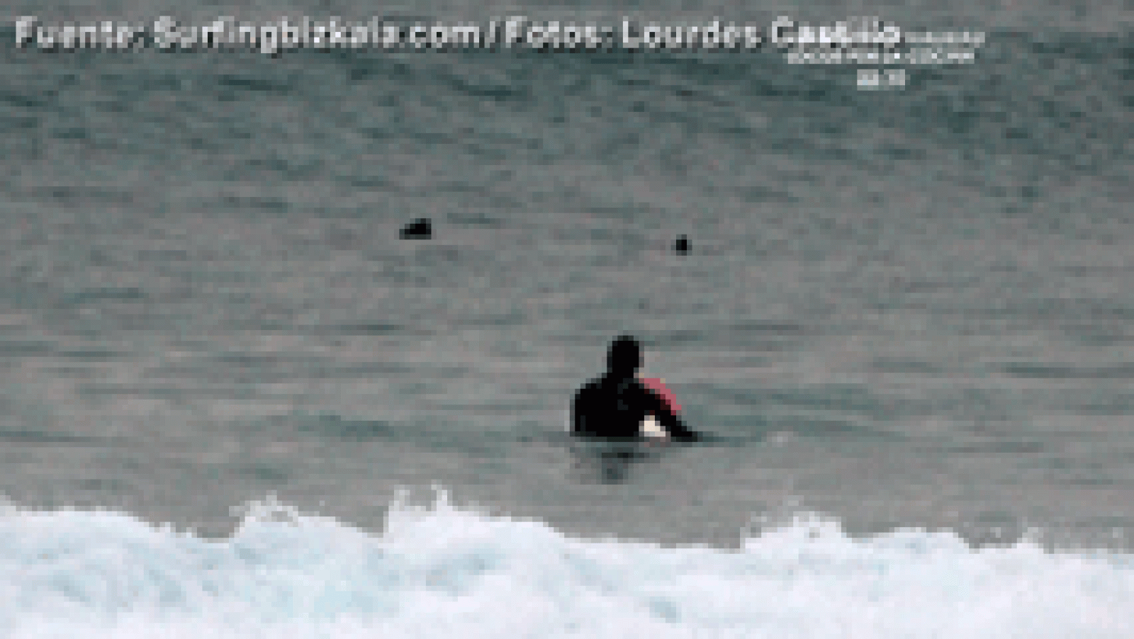 España Directo- Susto en El Sardinero ¿por un tiburón?