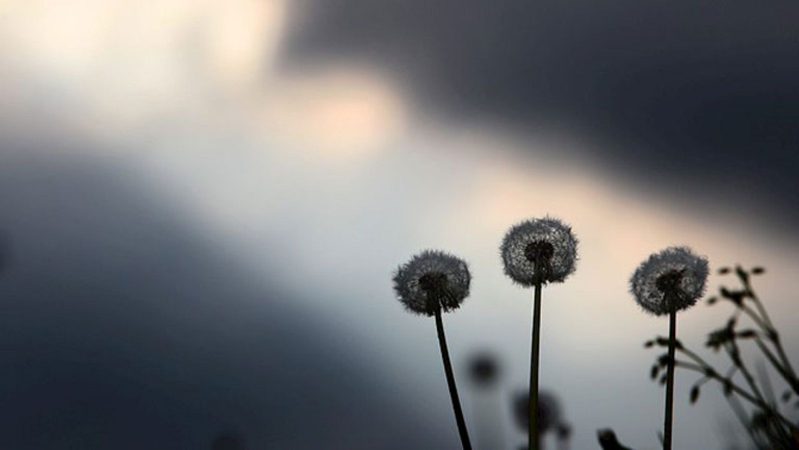 El tiempo en la Comunidad de Madrid - 30/04/14