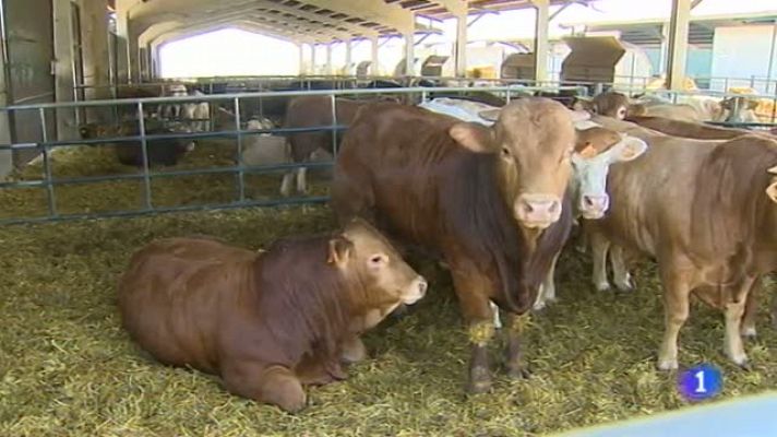 Noticias de Extremadura - Noticias de Extremadura 2 -30/04/14