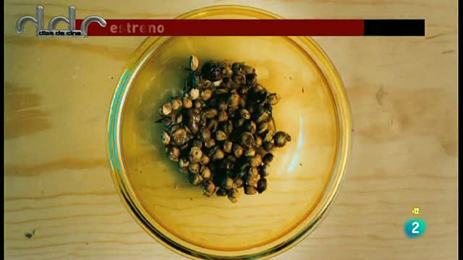 'No se aceptan devoluciones'