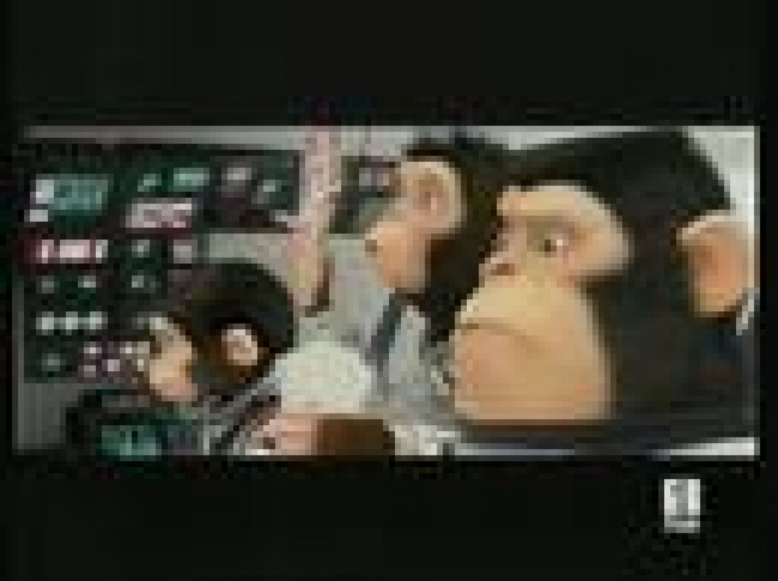 Sin programa: Se estrena 'Space Chimps' | RTVE Play