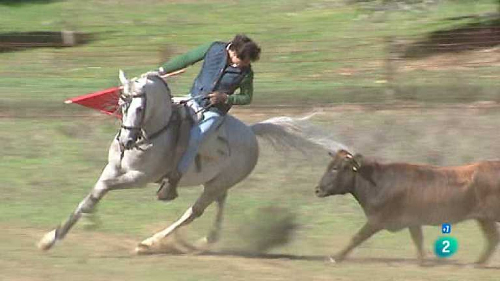 Tendido Cero - 03/05/14 - ver ahora