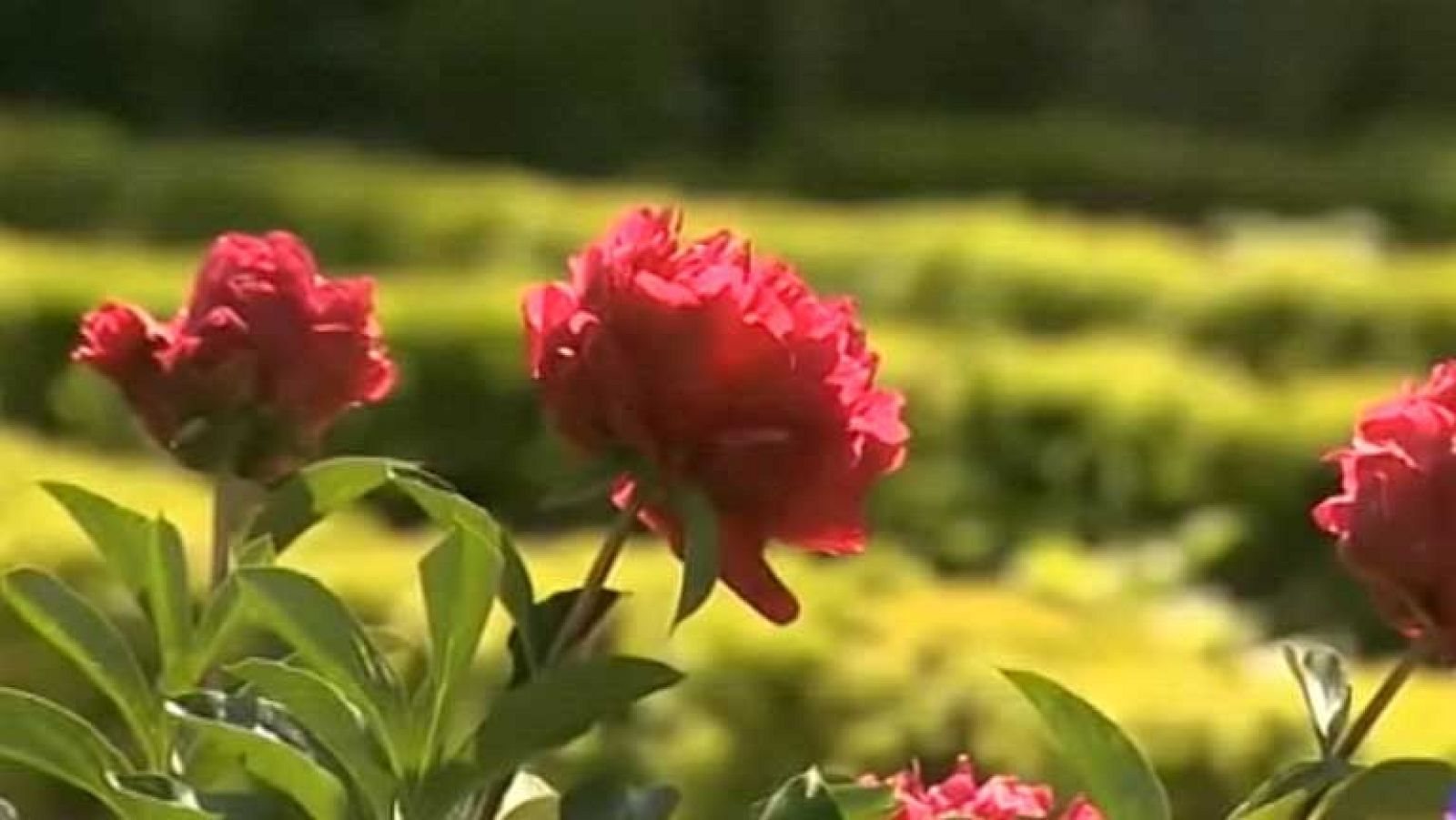 Lluvia en Galicia y Cantábrico y nuboso en la mitad norte