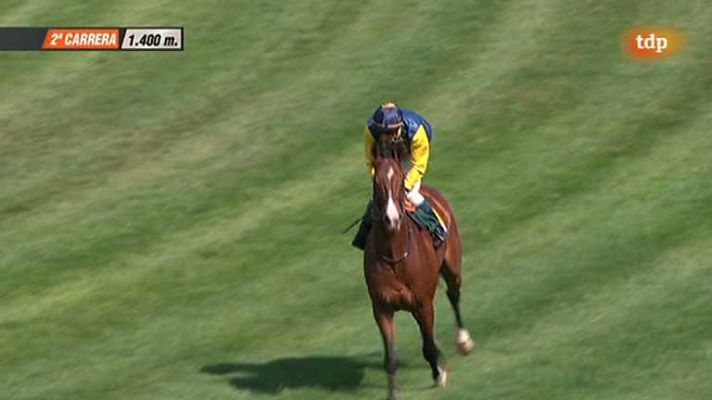 Turf - Turf - 04/05/14