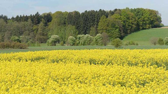 El tiempo - Nubes en la mitad norte peninsular