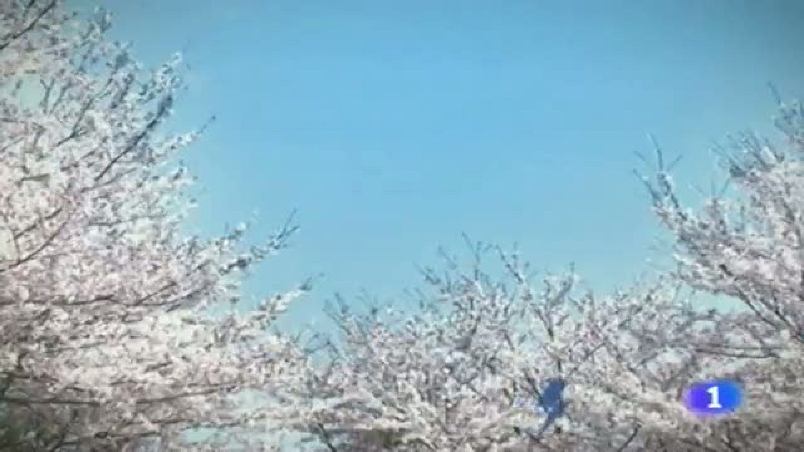 El tiempo en la Región de Murcia - 06/05/2014