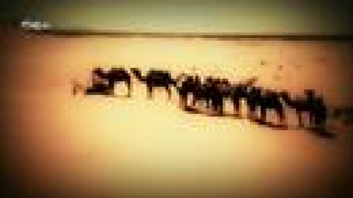  - Mountain bike - Titan Desert 4ª etapa