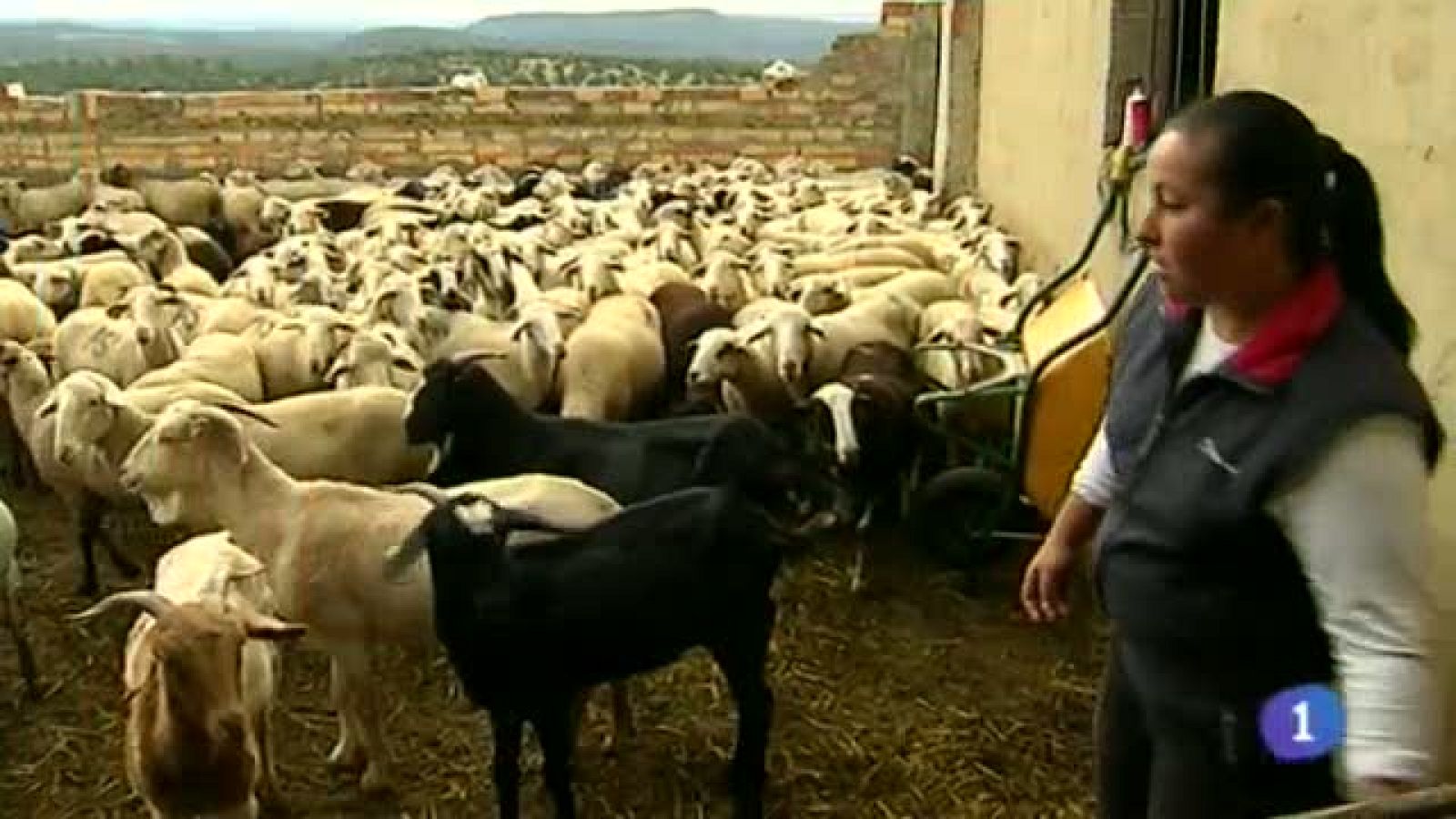 Castilla-La Mancha en 2' - 07/05/14 | Ver