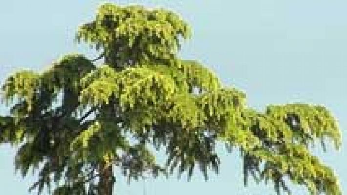 Informativo de Madrid - El Tiempo en la Comunidad de Madrid - 09/05/14