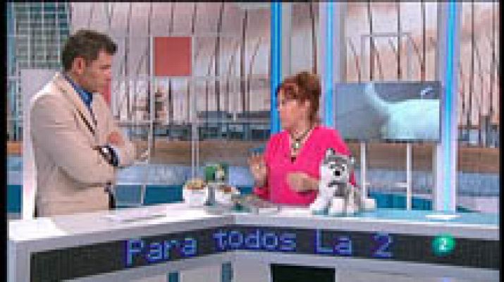 Proteger al perro de los parásitos externos