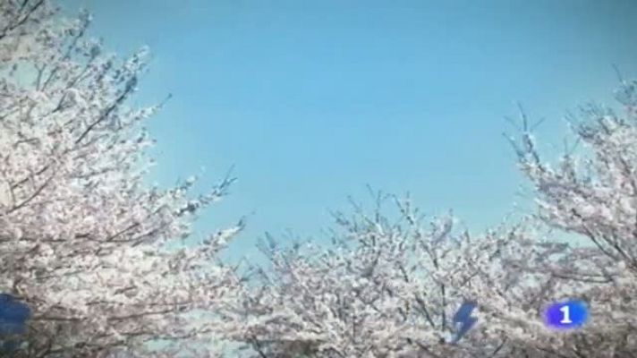 Noticias Murcia - El tiempo en la Región de Murcia - 12/05/2014