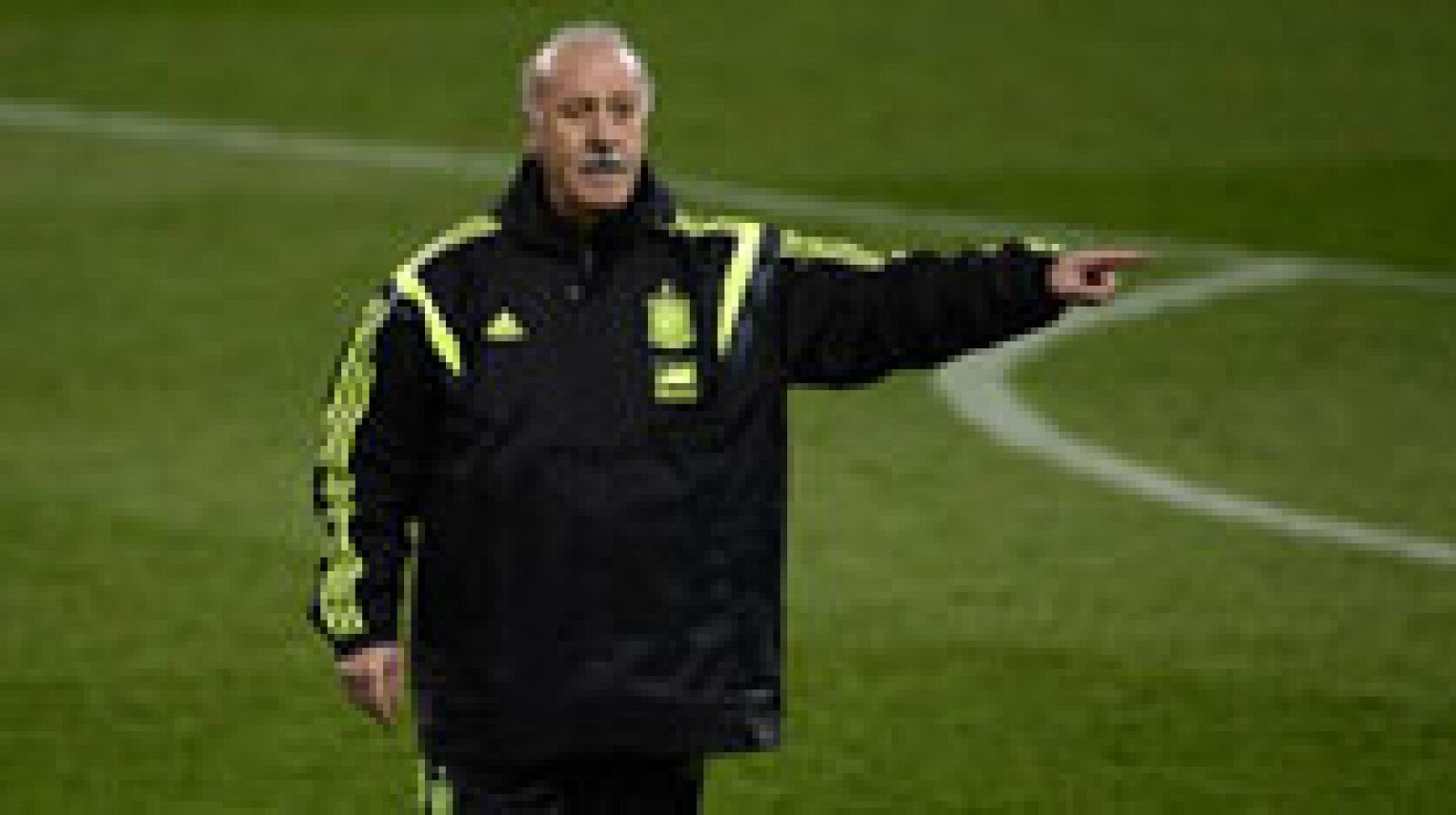 El seleccionador español Vicente del Bosque ha dado a conocer la lista previa, de 30 futbolistas, seleccionados para el Mundial de Brasil, en donde  destacan las presencias de David de Gea (United) como tercer portero, para suplir la baja de Valdés y novedades como Dani Carvajal (Real Madrid) y Ander Iturraspe (Athletic).

Además, como se esperaba, Diego Costa encabeza la lista de delanteros preseleccionados y junto a él van casi todos los delanteros de primera fila españoles como Villa, Torres, Álvaro y Llorente.