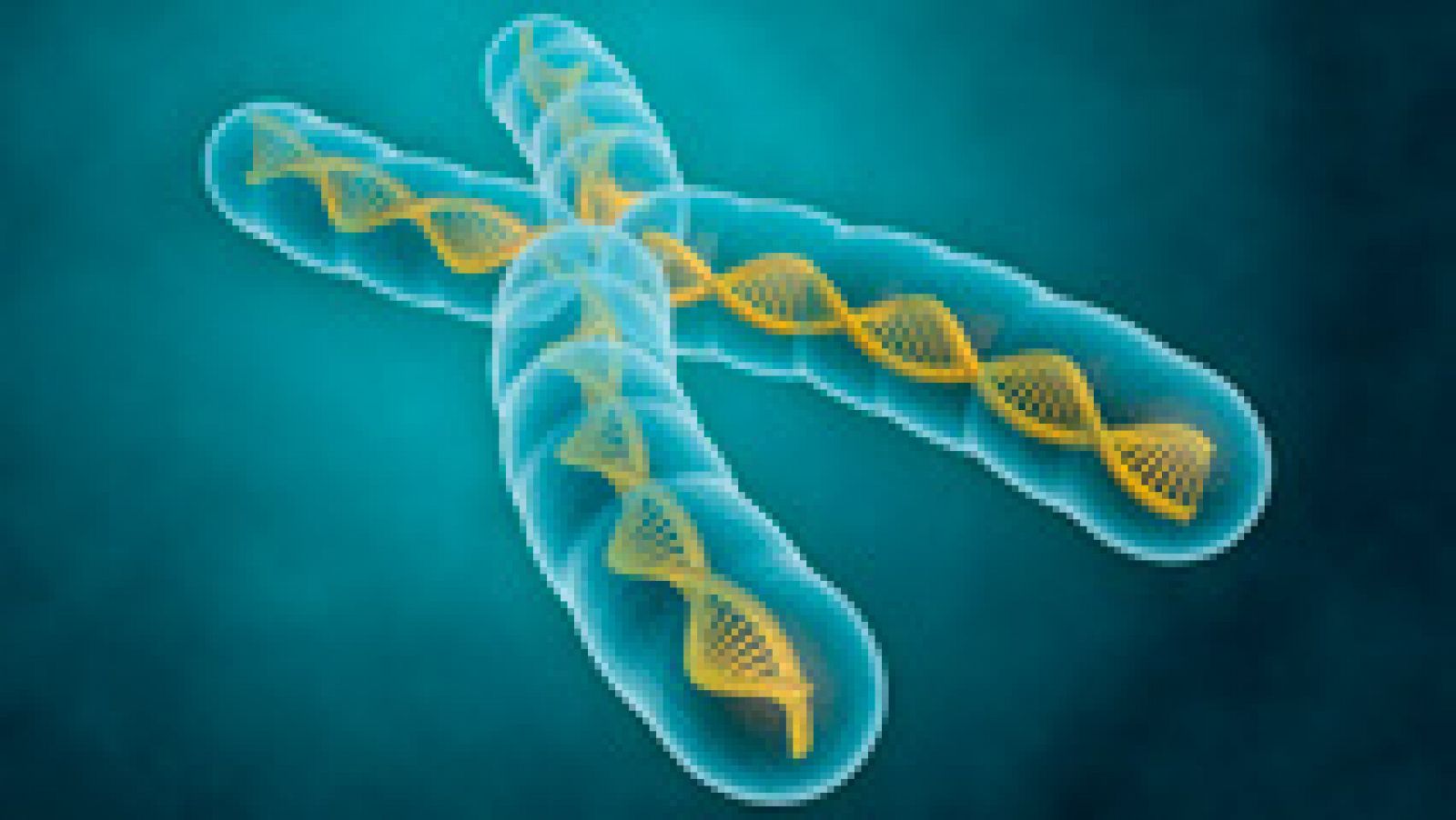 Telediario 1: La telomerasa, la enzima de la eterna juventud | RTVE Play