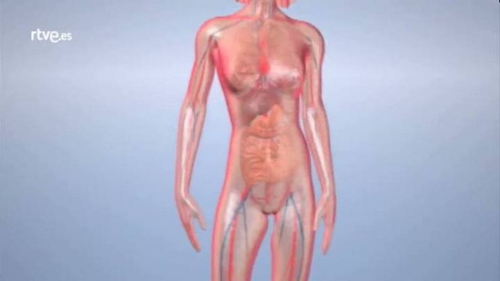 Lab24 - Lab24- Programa 2 - avance