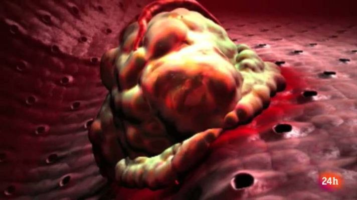 Lab24 - LAB24 - 20/05/14