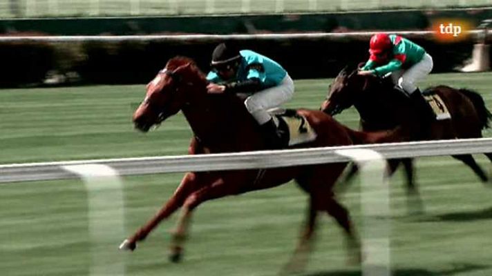 Turf - Turf - 15/05/14