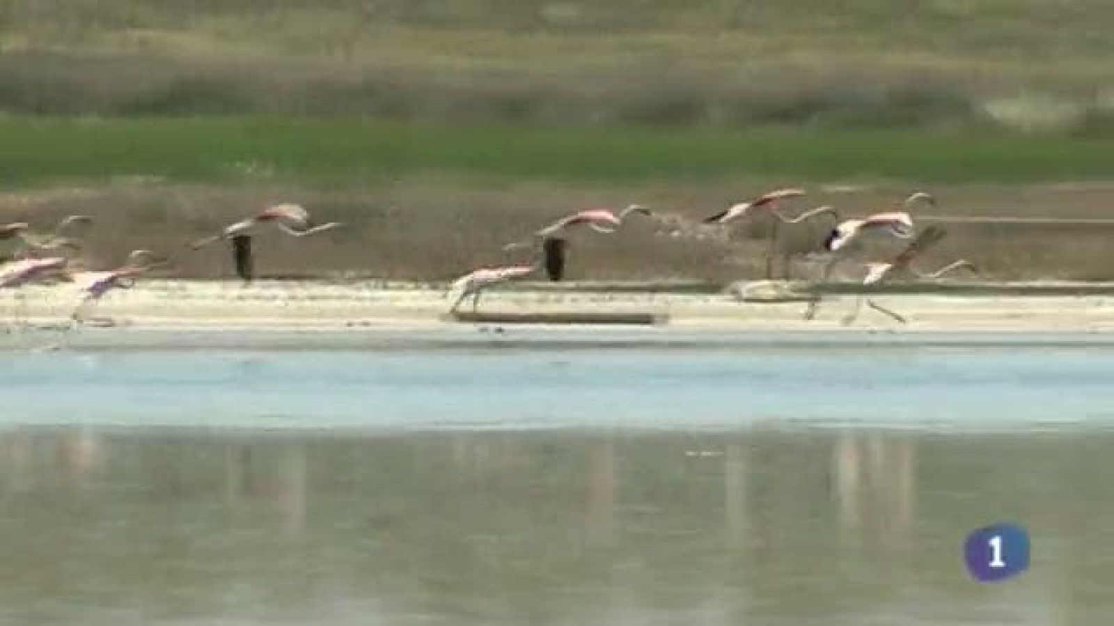 Castilla-La Mancha en 2' - 16/05/14 | Ver