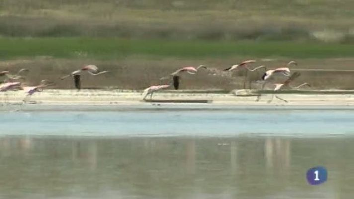Noticias de Castilla-La Mancha - Castilla-La Mancha en 2' - 16/05/14