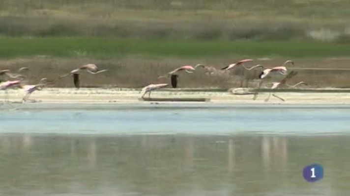 Noticias de Castilla-La Mancha - 16/05/14