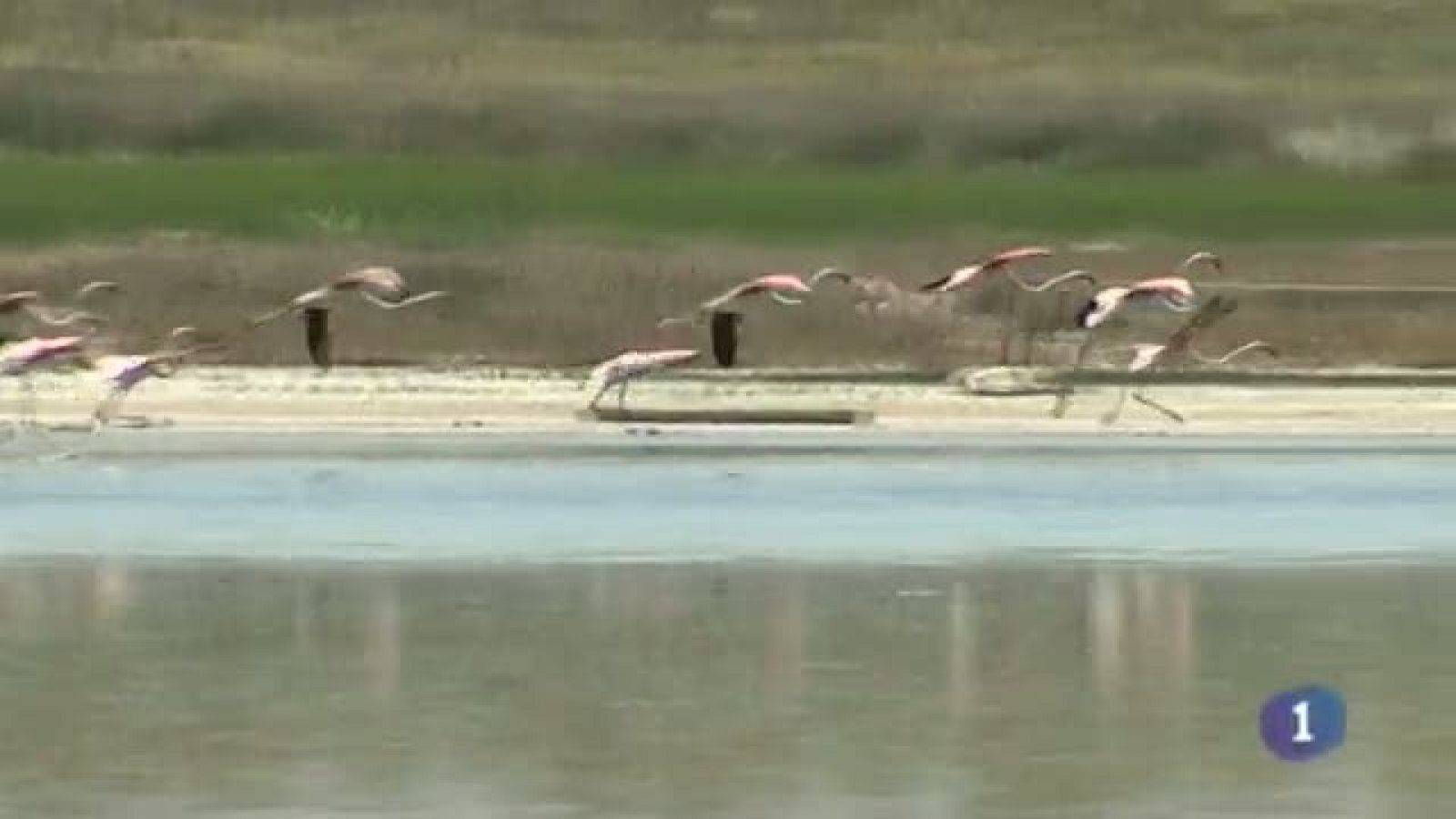 Noticias de Castilla-La Mancha - 16/05/14