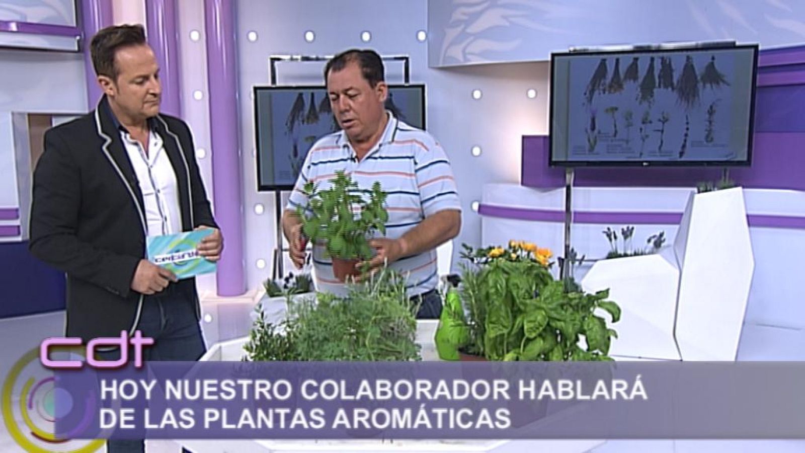 Cerca de ti - 16/05/14 - Cerca de ti | Ver