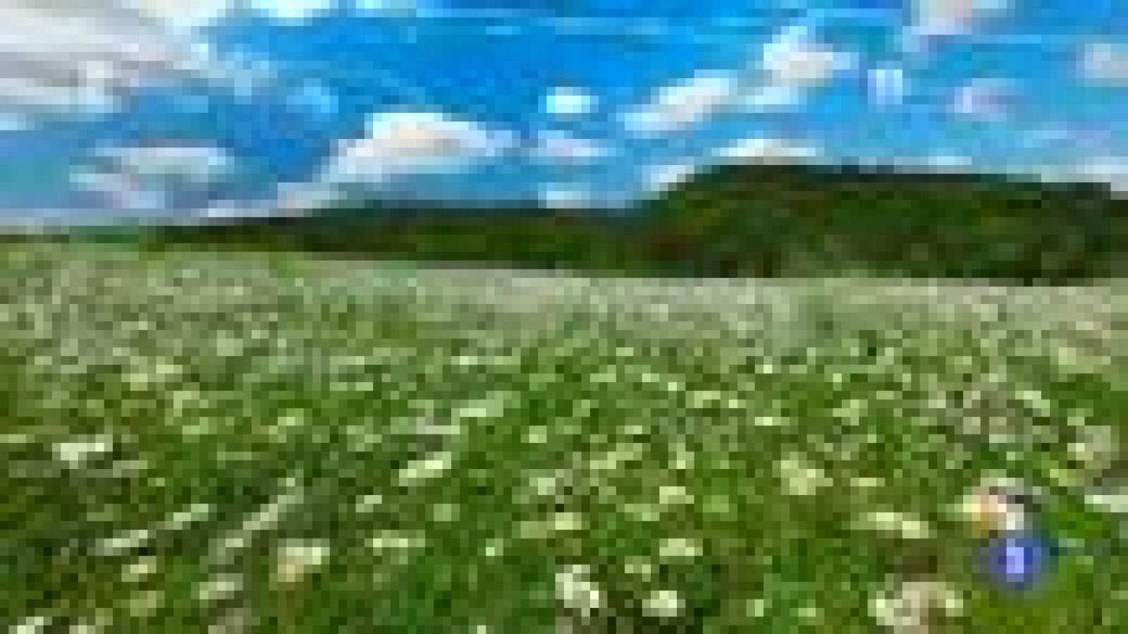 El tiempo en Cantabria - 16/05/14