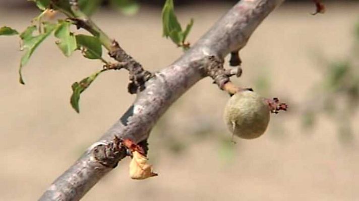 Agrosfera - Agrosfera - 17/05/14