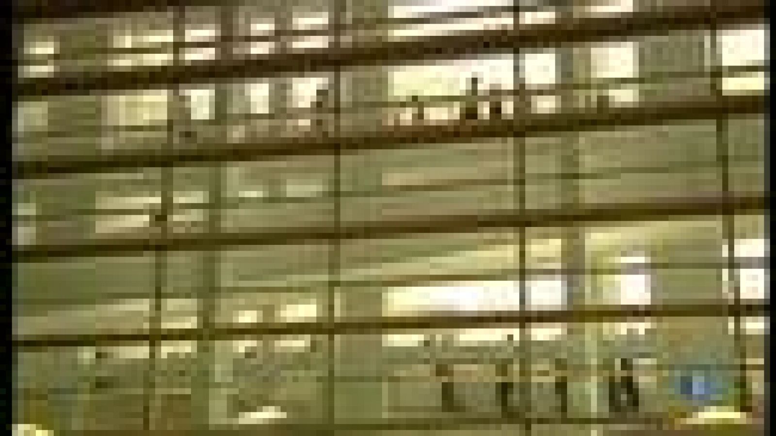 Dia Internacional del Museus