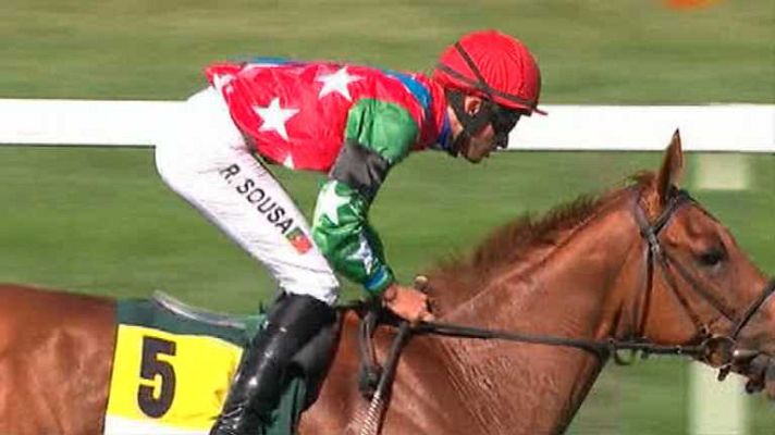 Turf - Turf - 18/05/14