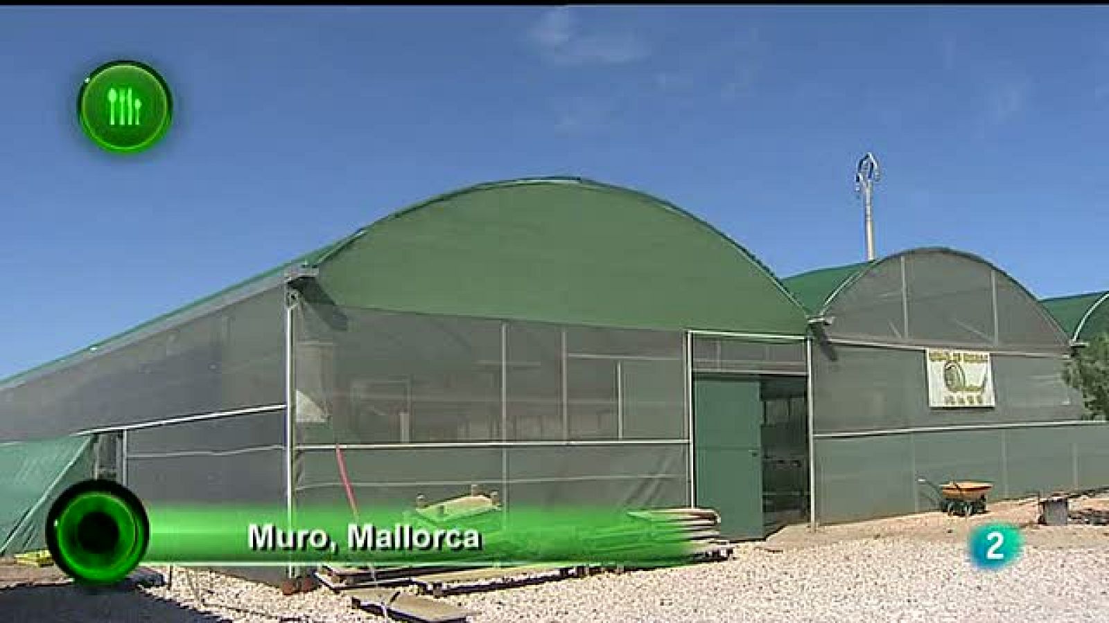 Agrosfera - Con mucho gusto - Caracoles