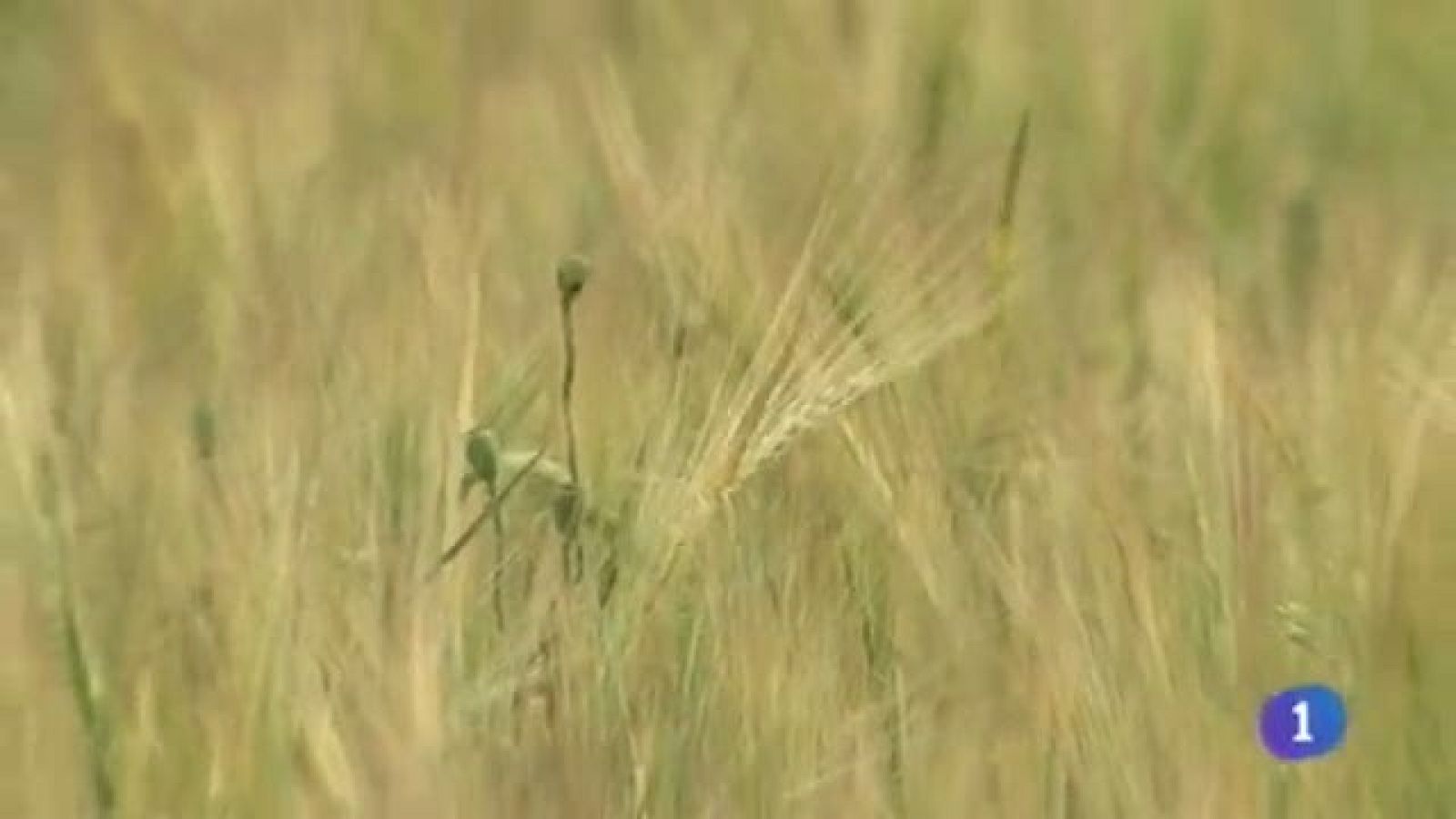 Castilla-La Mancha en 2' - 19/05/14